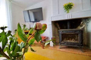 Wood fire and flowers
