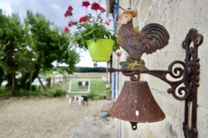 Rooster bell